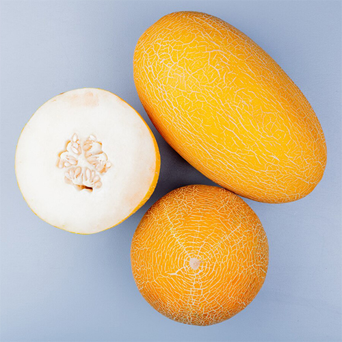 Cantaloupe