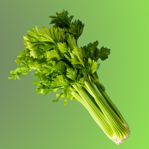 Celery