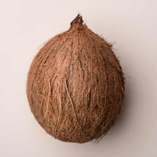 Coconut