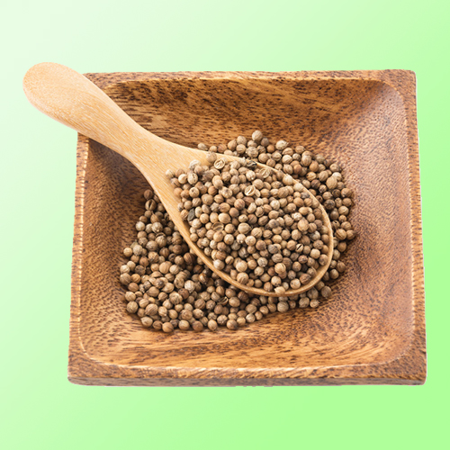 Coriander