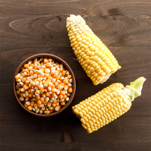 Corn (Makai)
