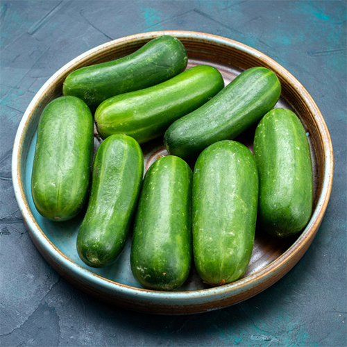 Cucumber