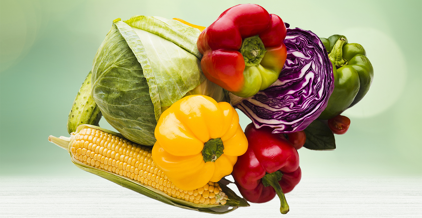 Import Export Excellence Beyond Boundaries